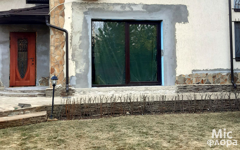 Фото 3 обрезка кустов Бирючины Харьков
