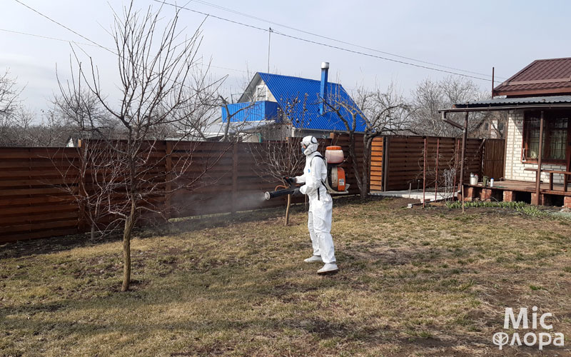 Фото 3 Опрыскивание деревьев весной