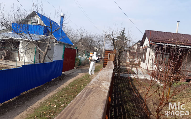 Фото 4 Лечение деревьев