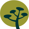 Niwaki